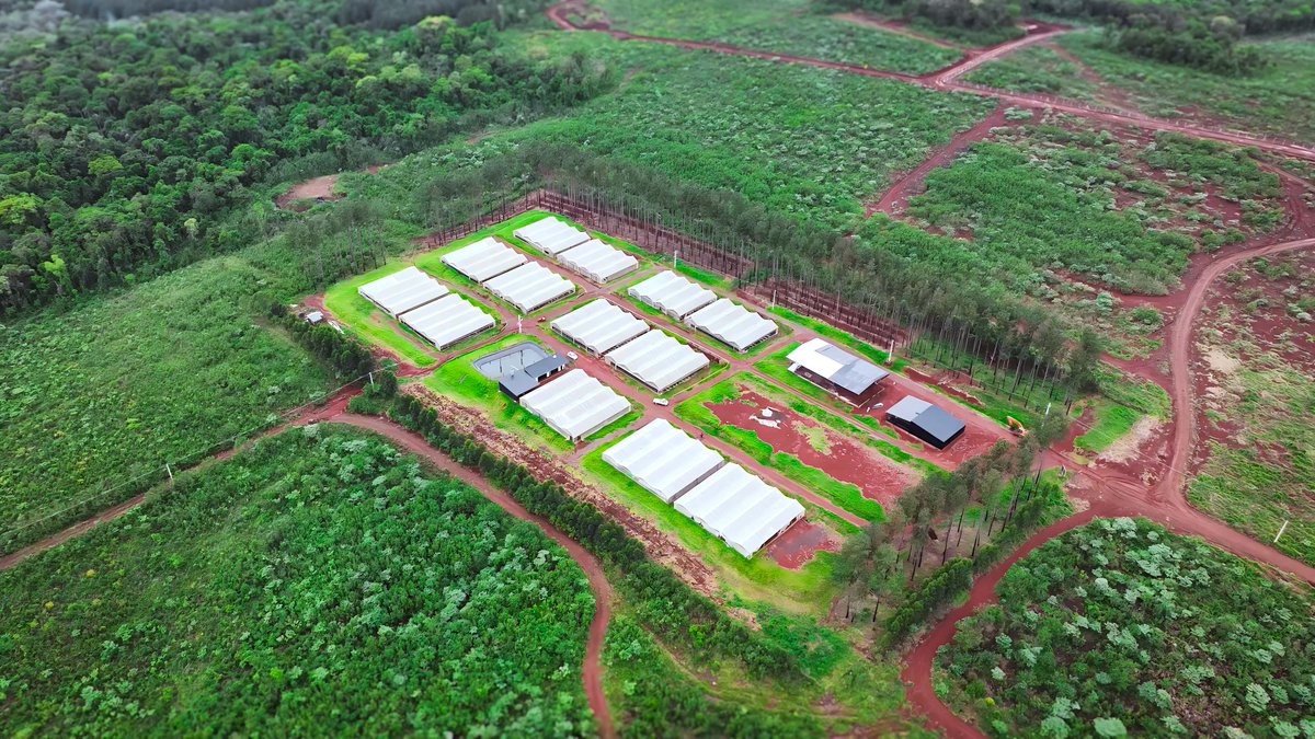 La Biofábrica Misiones avanza en un modelo productivo sustentable e innovador.revistacodigos.com/la-biofabrica-…