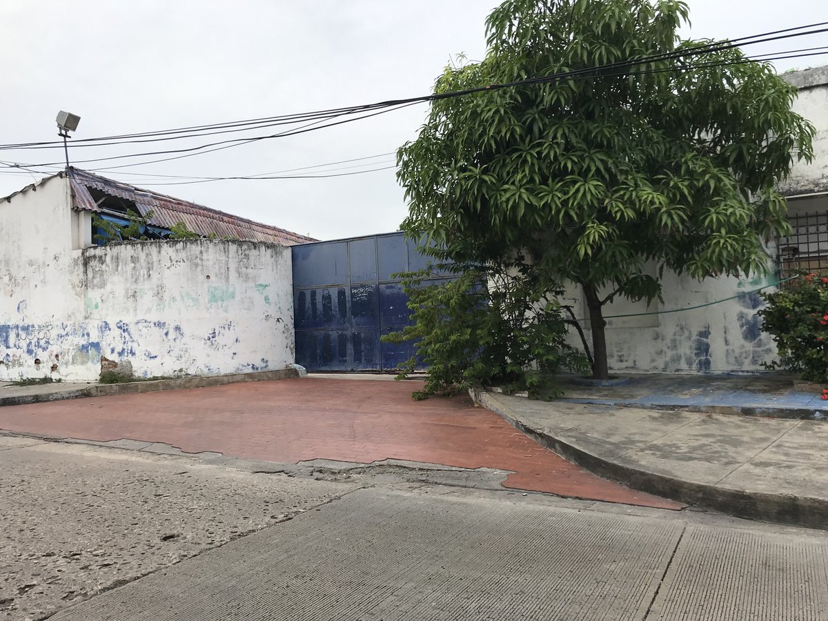 FREYTTER-FLORIÁN, Jorge. tweet media