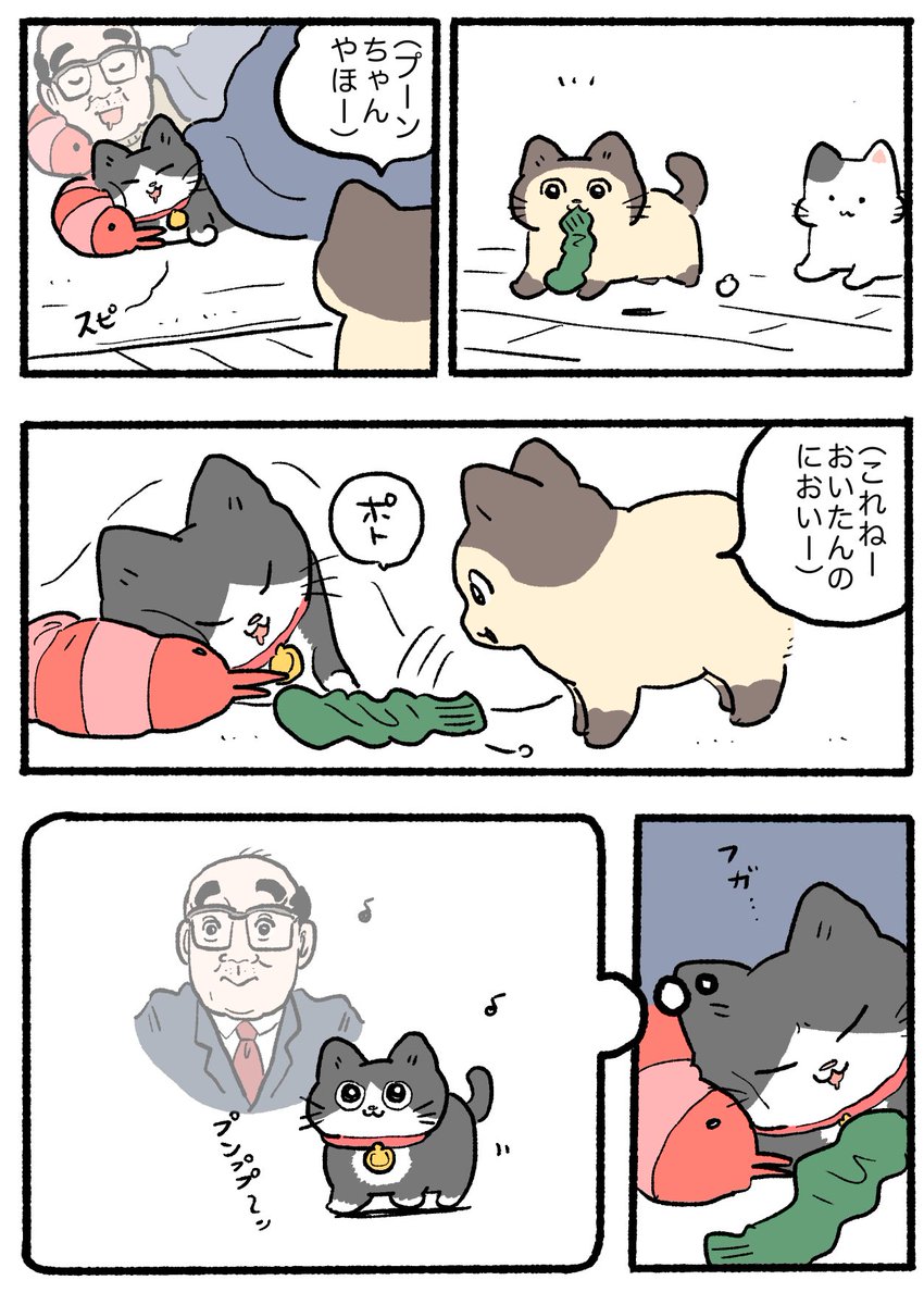 ねこに転生したおじさん。その884