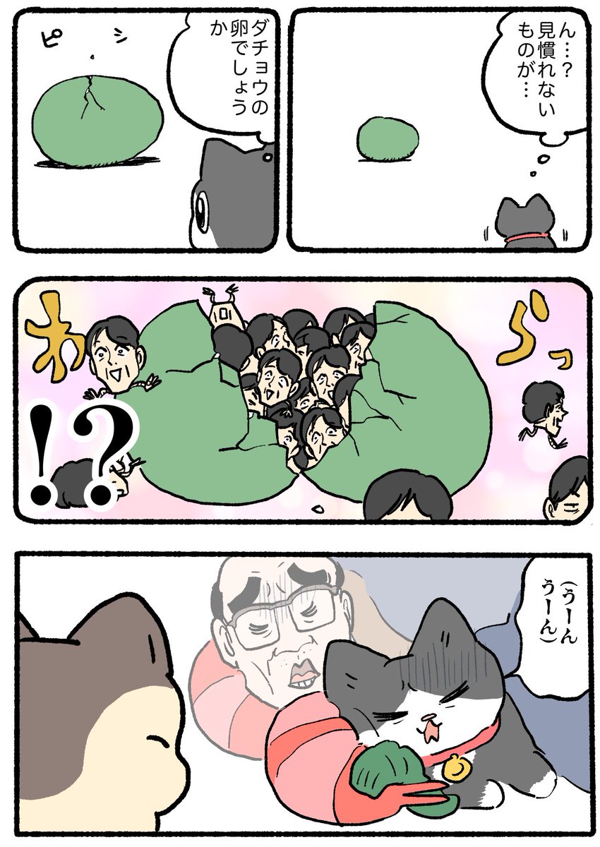 ねこに転生したおじさん。その884