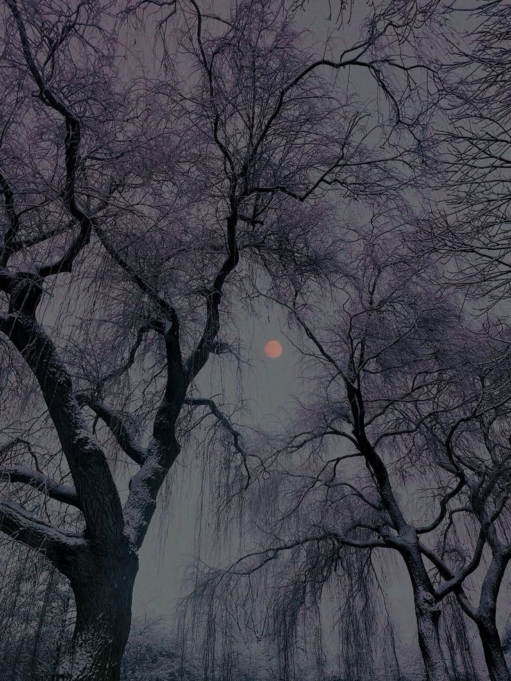 𝕰𝖑𝖊𝖒𝖒𝖎𝖗𝖊 (@elemmiressoul) on Twitter photo 