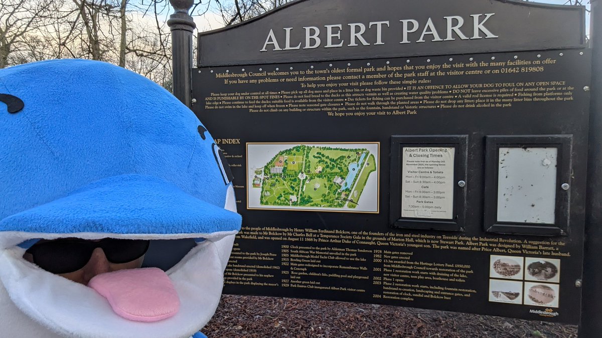 Dolphin.Runner tweet media