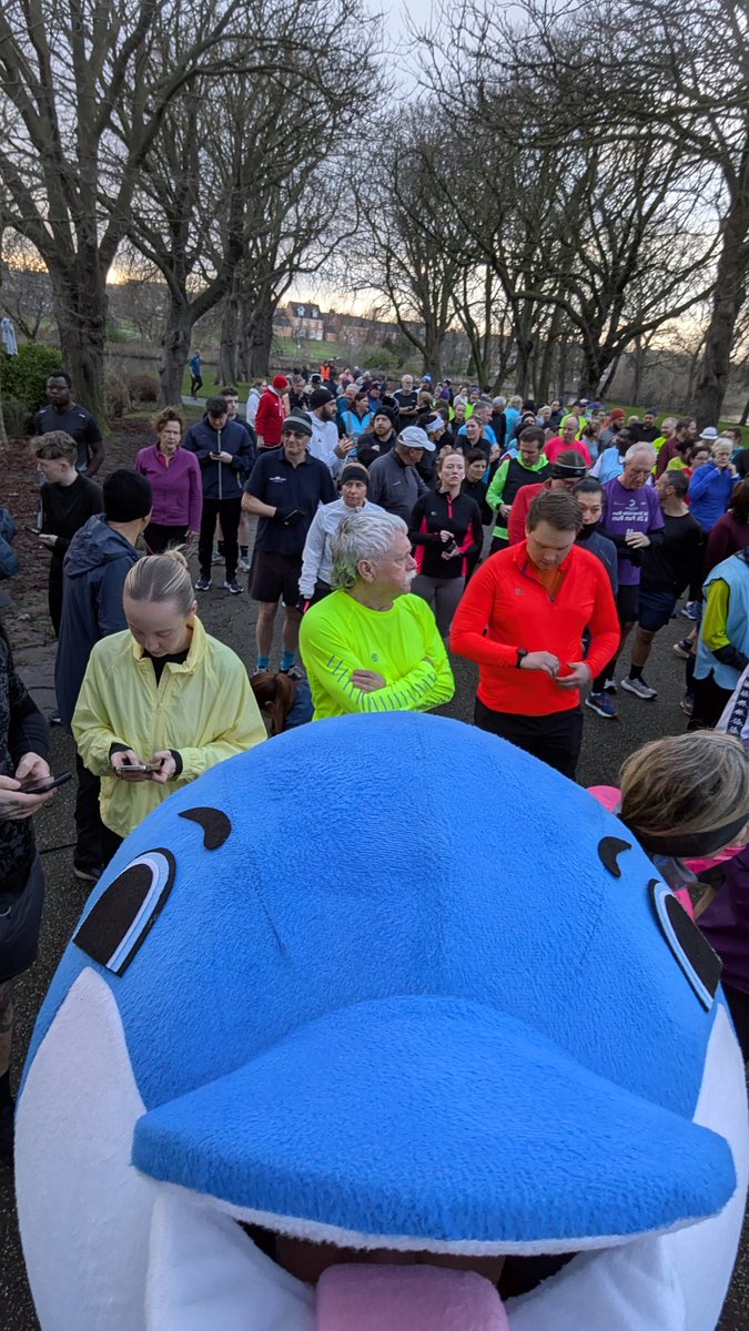 Dolphin.Runner tweet media