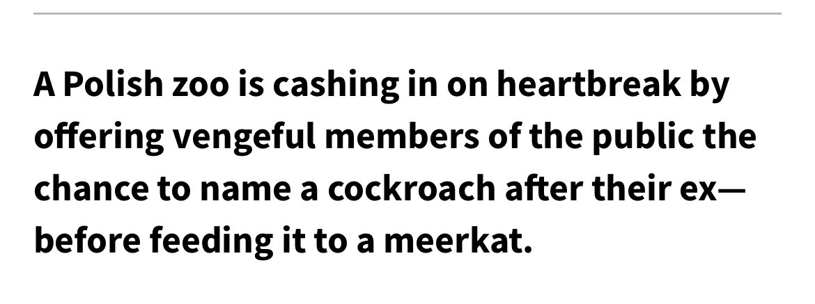 I love reading news from poland