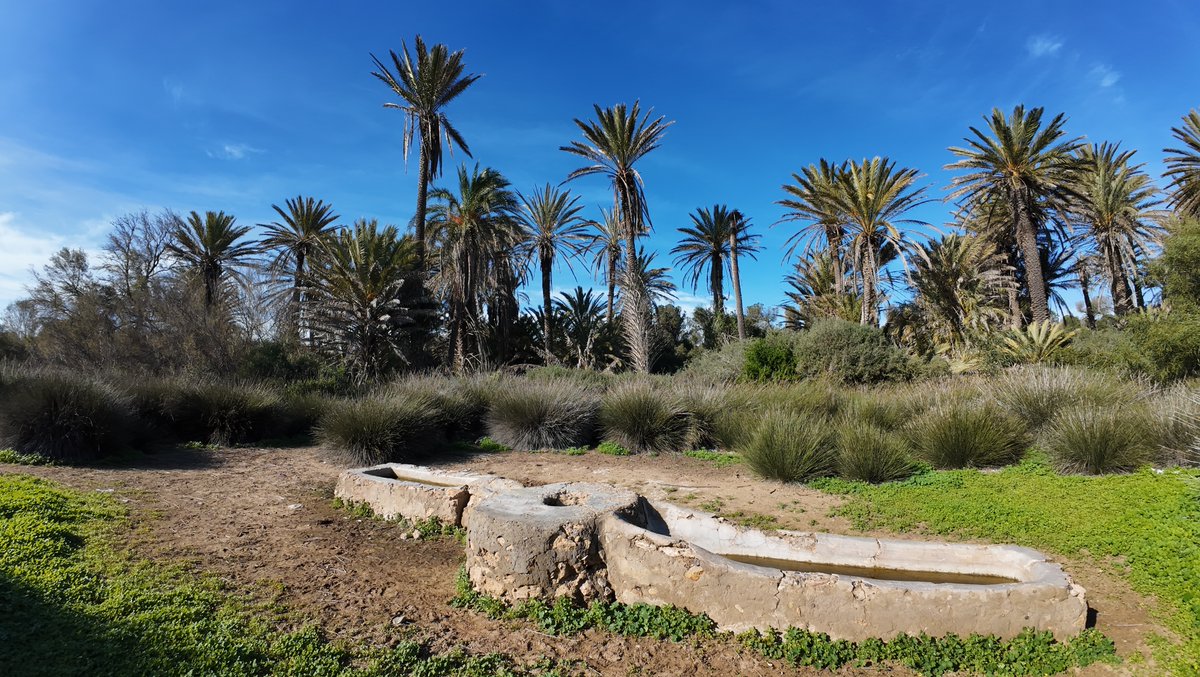 Radouane ELHAJALI tweet media