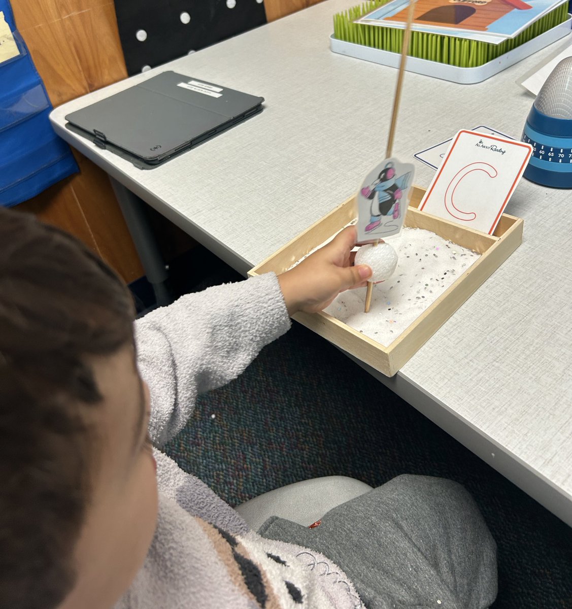 Allison Duffy tweet media