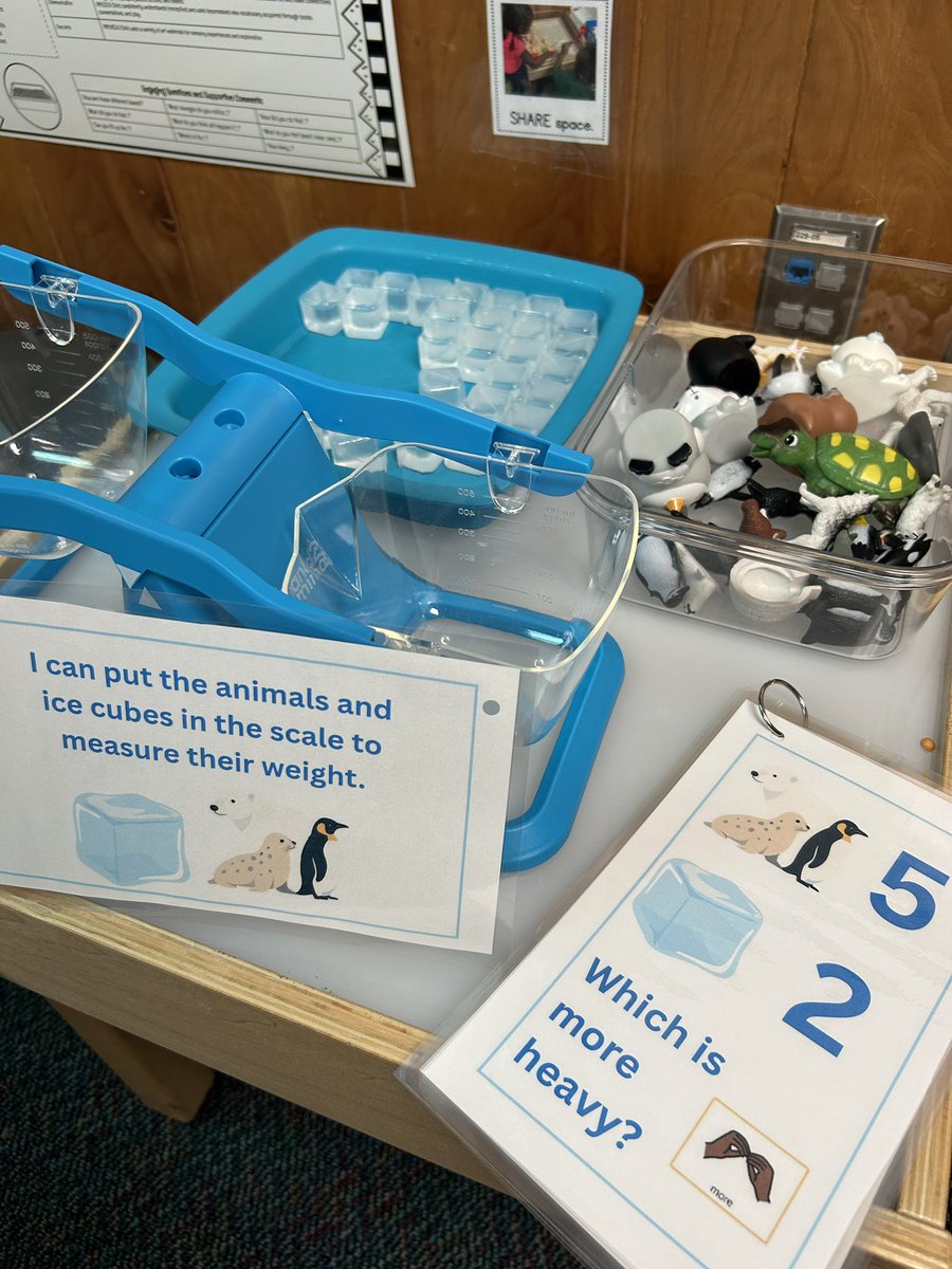 Allison Duffy tweet media