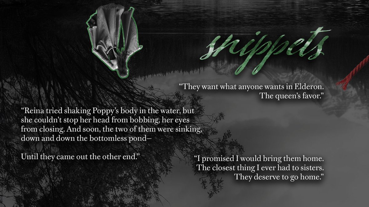 paige is querying 🌿 A RAVEN SONG 🌿 tweet media