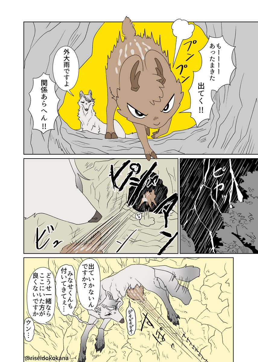 合鴨ミケランジェロ@単行本「ふたりのけもの」🐺🦌 (@riseidokokana