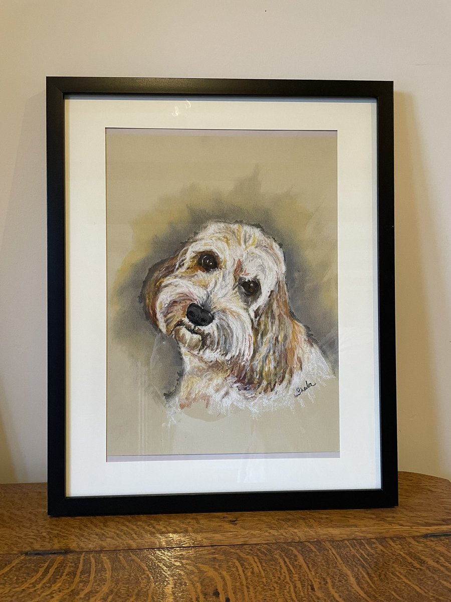 sheilaMol tweet media