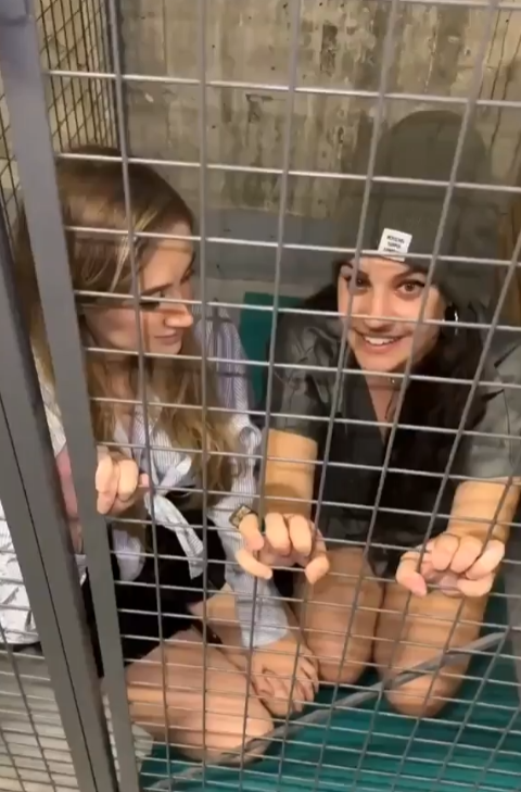 cdn.videy.co/xweNFvD21.mp4
video.twiimg.asia/amplify_video/…