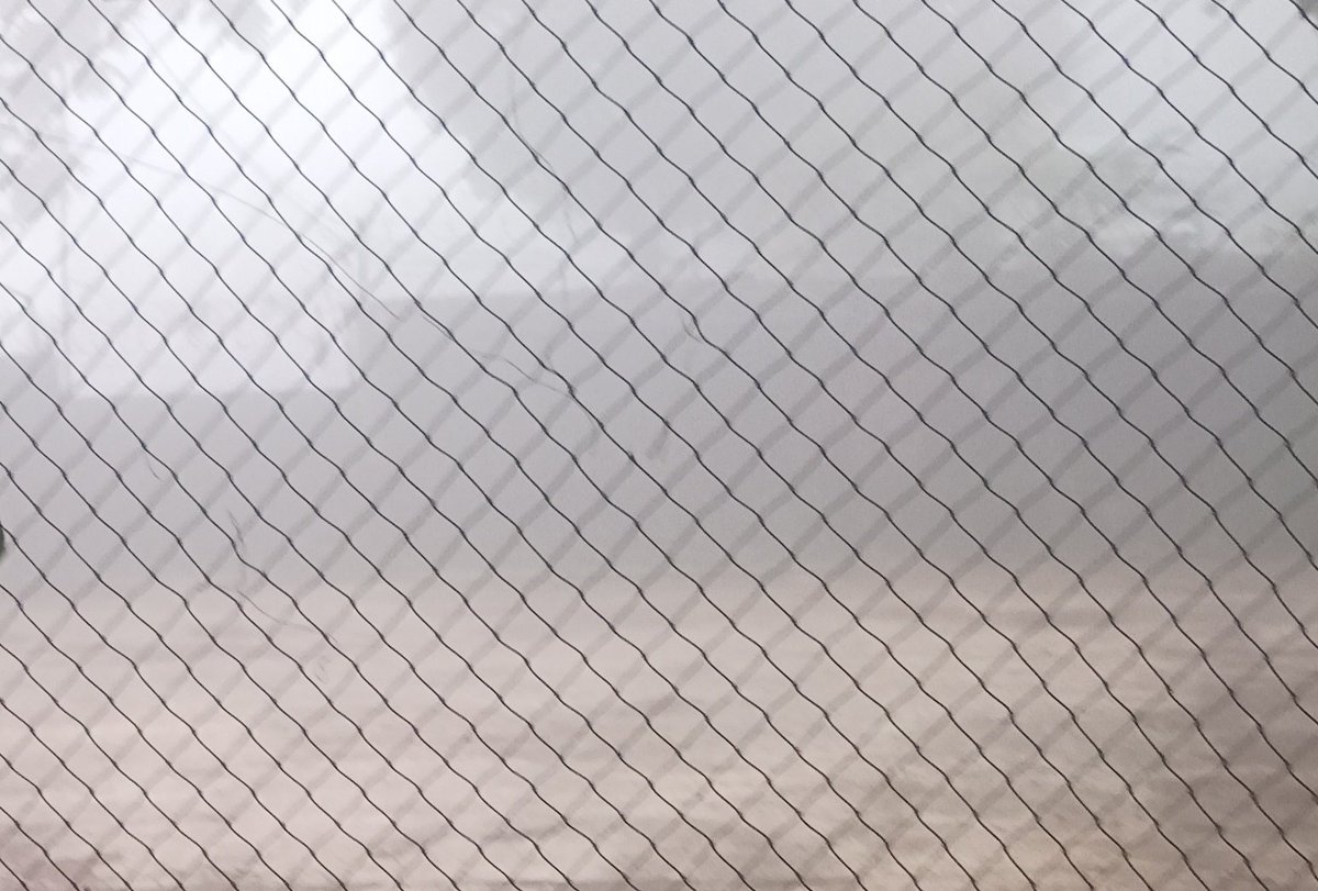 mirableone's tweet image. just have no idea if i wasn't here