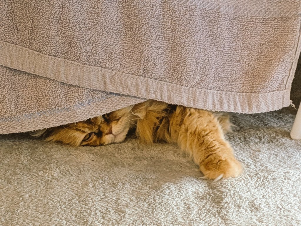 決算や選挙はあるし、為替は動くし、商品先物や仮想通貨 は暴落してるし、イランでなんか起こってるし…これもう上手く立ち回れる人は能力者かなんかじゃない？(ΦωΦ)💦