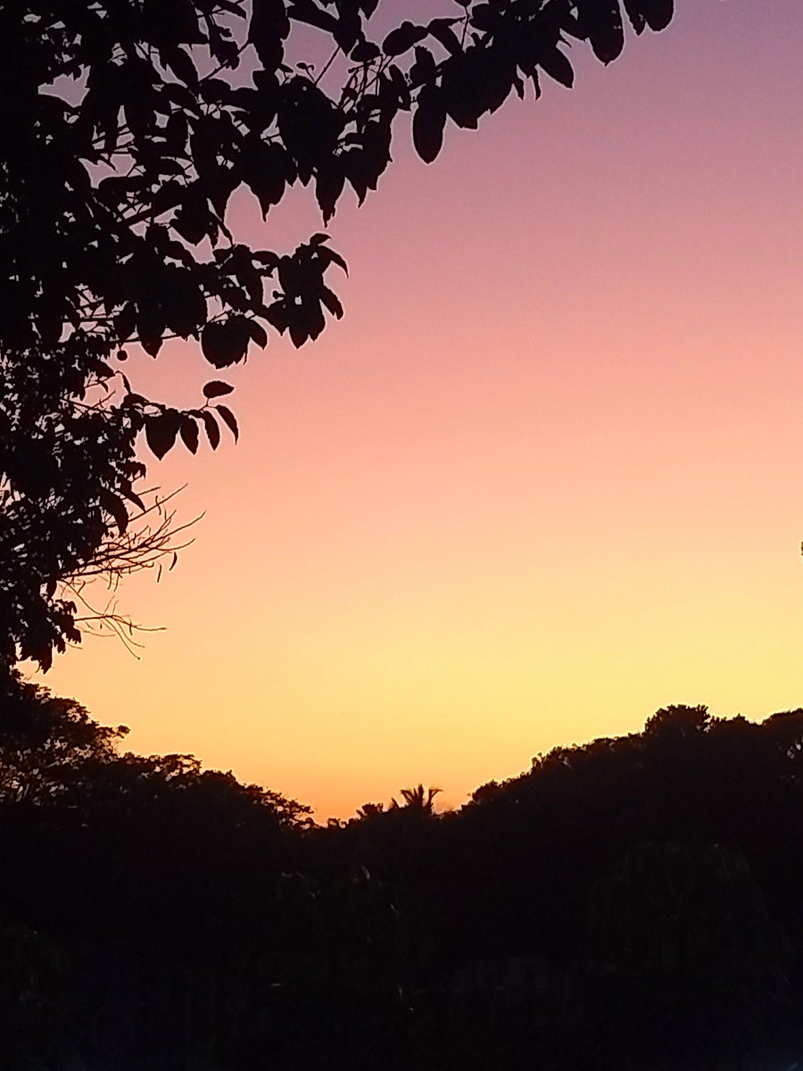 Today's evening sky was 😍, happy weekend friends stay healthy and happy💐💐💐
#Naturephotography #Sunset #NatureIsAmazing 
instagram.com/reel/DULcEsMEd…