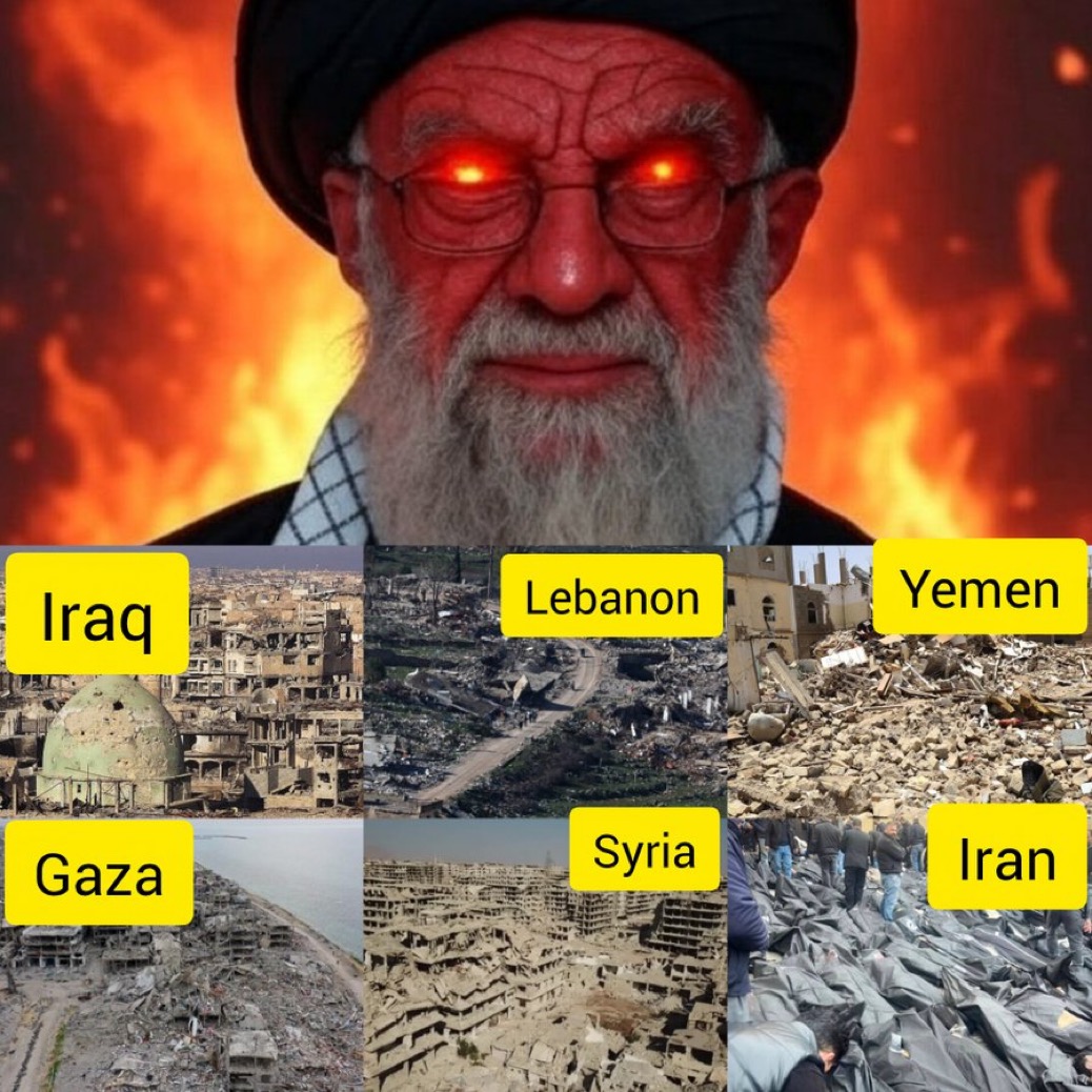 LizaRosen0000's tweet image. 