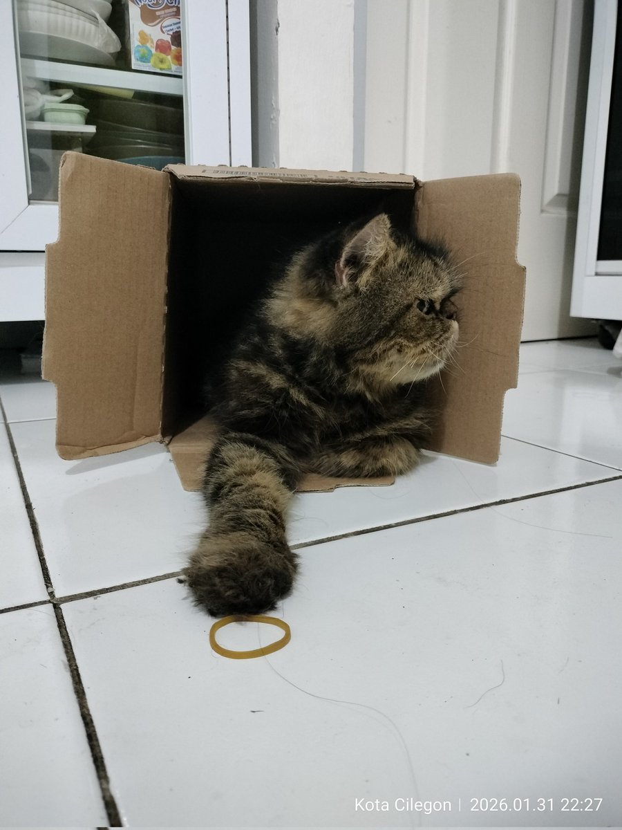 baronkucing's tweet photo. Bayon bobok duyu https://t.co/TmgijgZTQ0