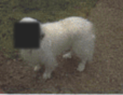 Release of Epstein files seems like a big waste of time to me.