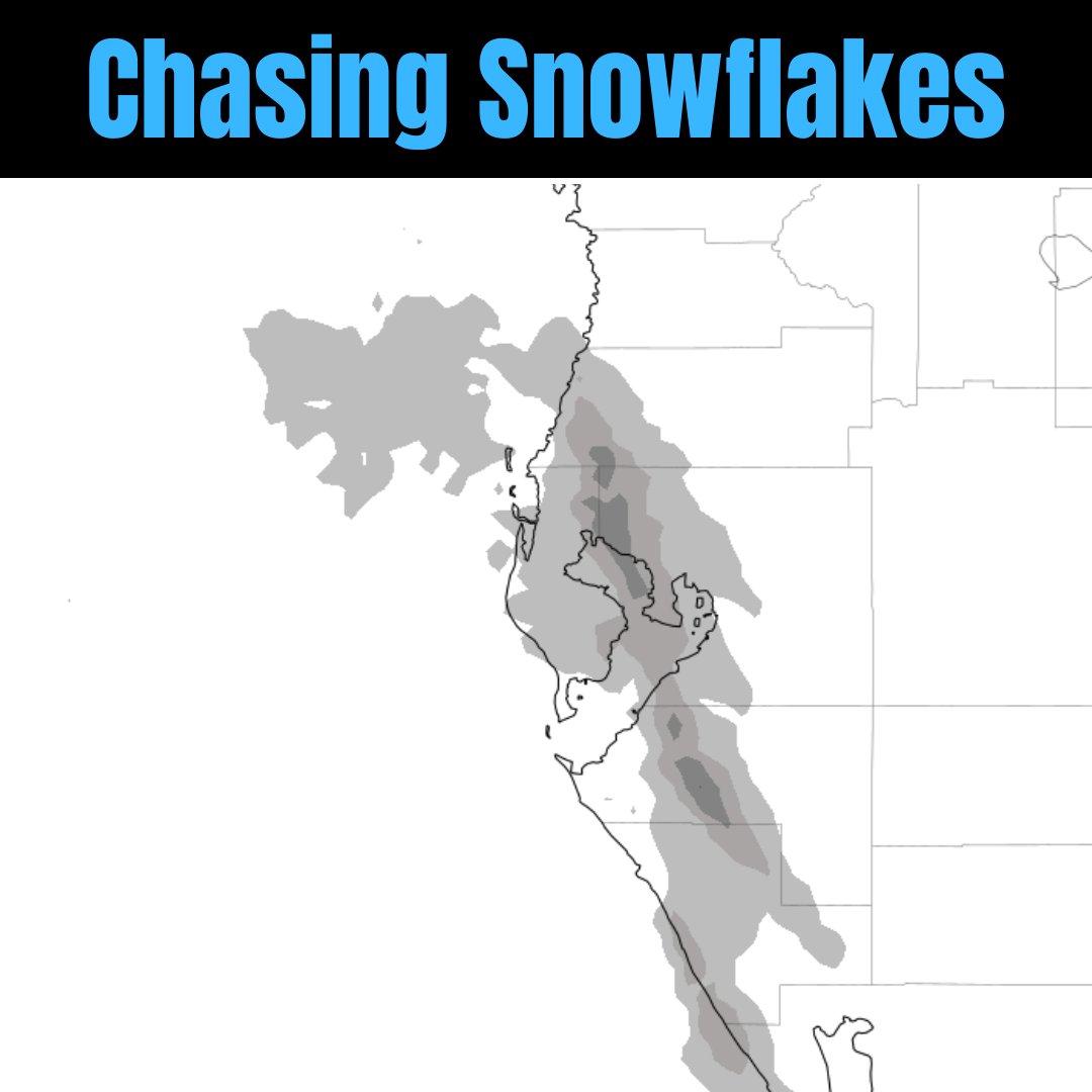 tropicalupdate's tweet photo. If you want snowflakes then the NAM model is your friend. Latest still showing flakes in the Tampa Bay area. Hmmm. https://t.co/qyFZuuWnKP