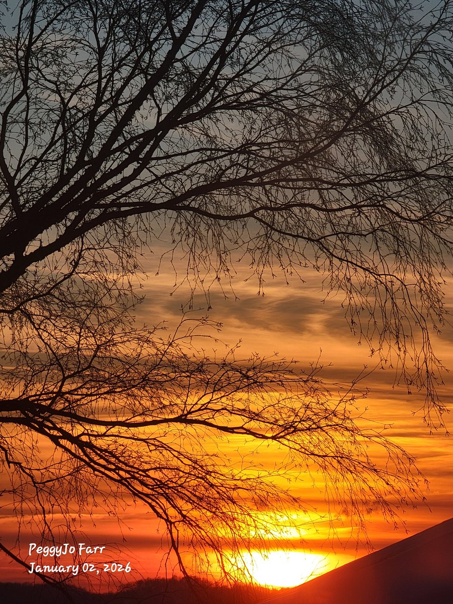 PeggyJoFarr2's tweet image. #colortheory
#forms
#lines
#textures
#colors
#light
#shadows