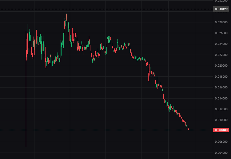 DonaldP 🏴‍☠️ tweet media