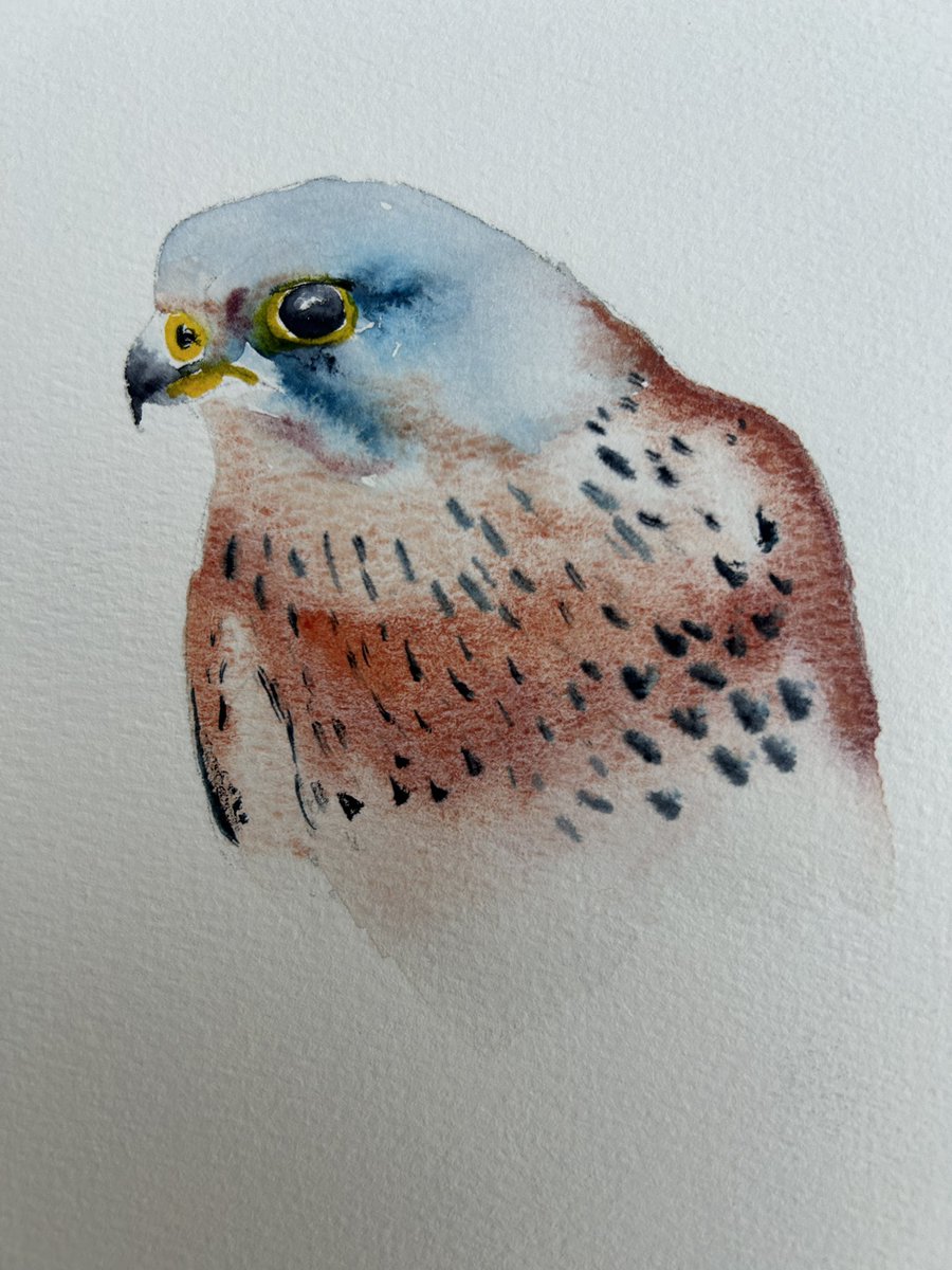 Jim Moir tweet media