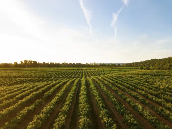 WorldlyHQ's tweet photo. Modern #farming practices are #environmentally friendly, help farmers👩‍🌾🧑‍🌾reduce costs &amp; increase the quality of production https://t.co/mnj2cJKZON