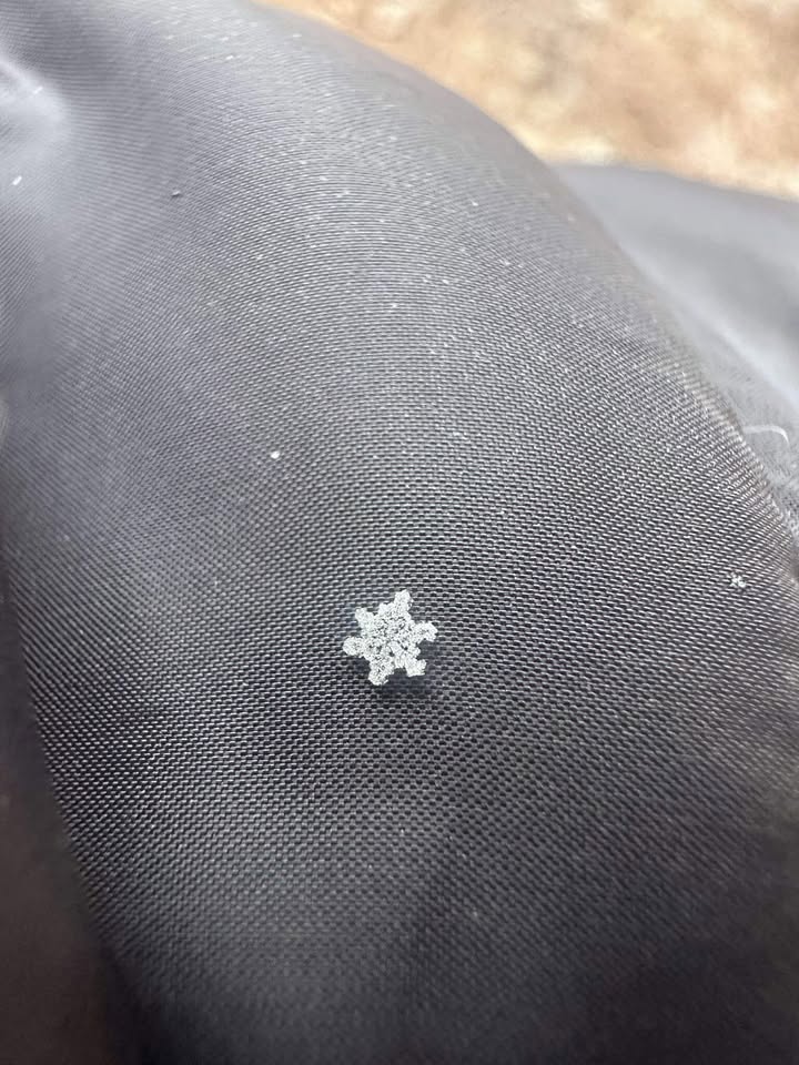 EdPiotrowski's tweet photo. Perfect snowflakes in Columbia. https://t.co/2Vki8KCRZY