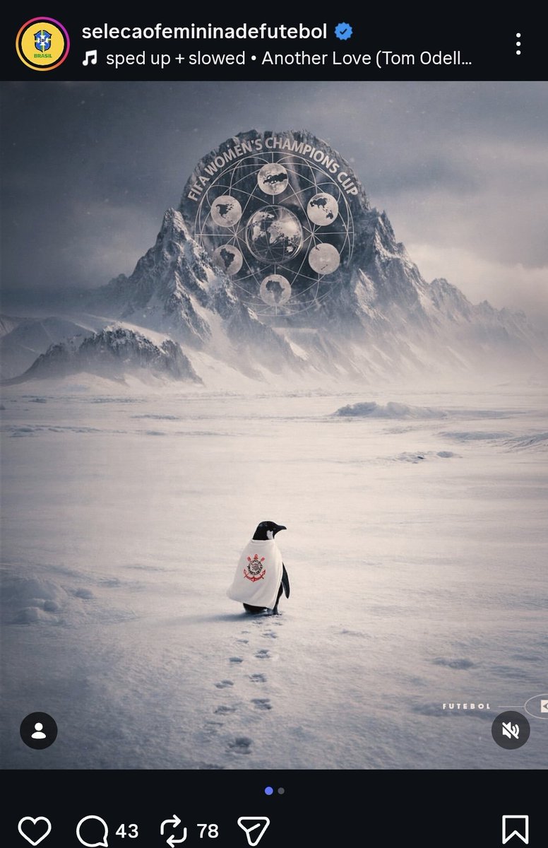 aakaaro's tweet photo. Alguém pode por favor me explicar o pq do pinguim ? https://t.co/reAGezzy22