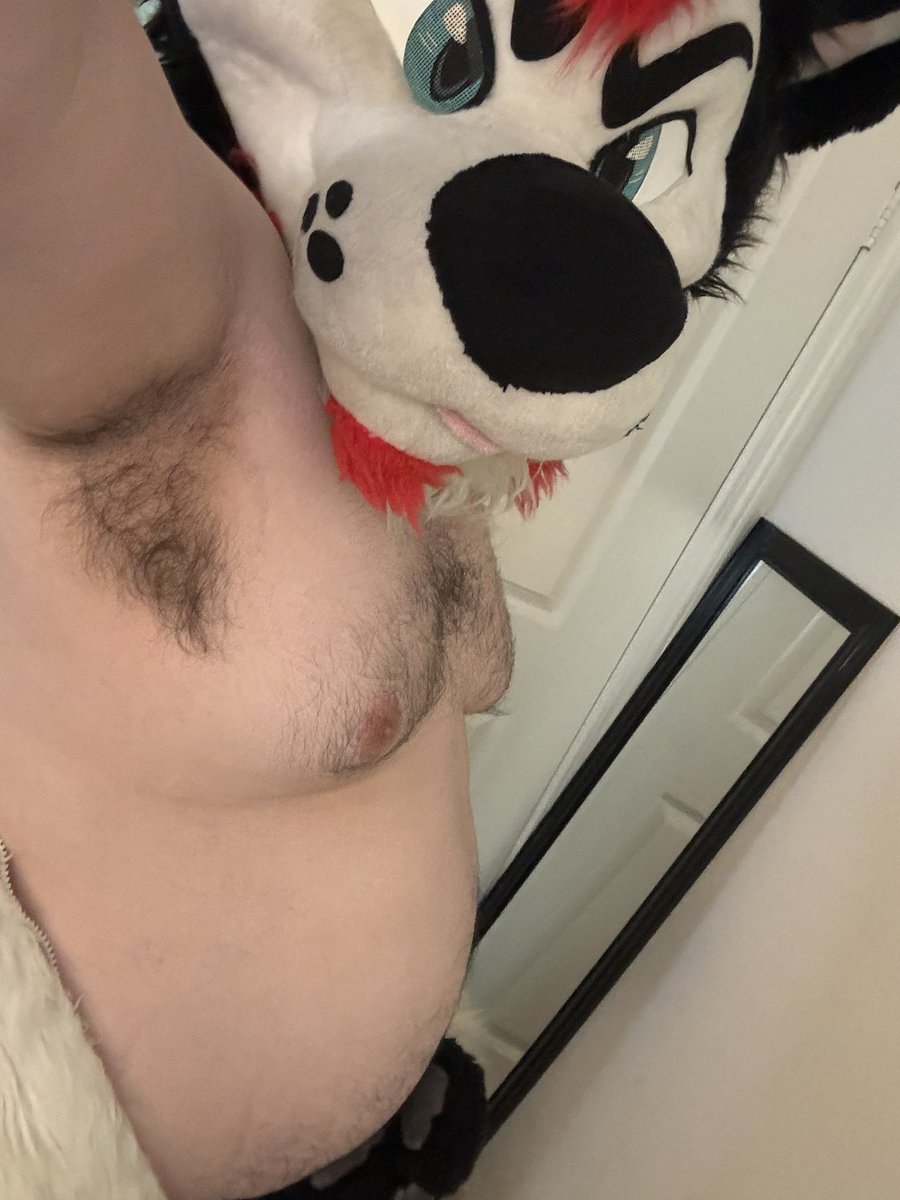 ZeroTheHusky tweet media