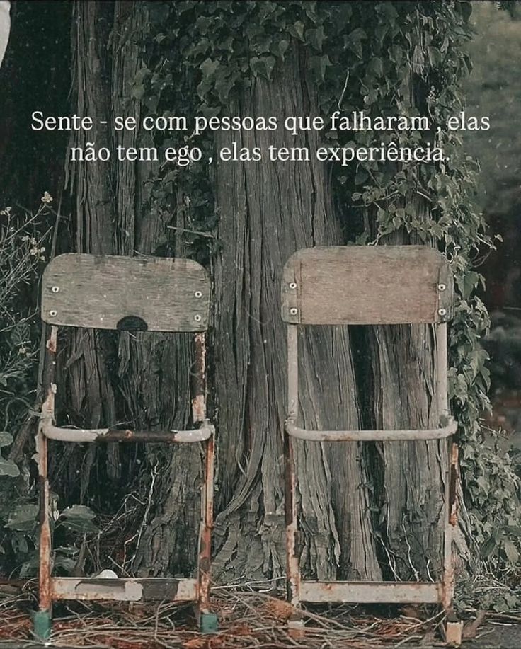 soudesabafosofc's tweet photo. https://t.co/3B2wb4jJIL