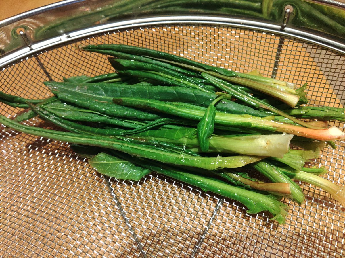 Kyohei🦫 (@Beaver2501) / Posts / X