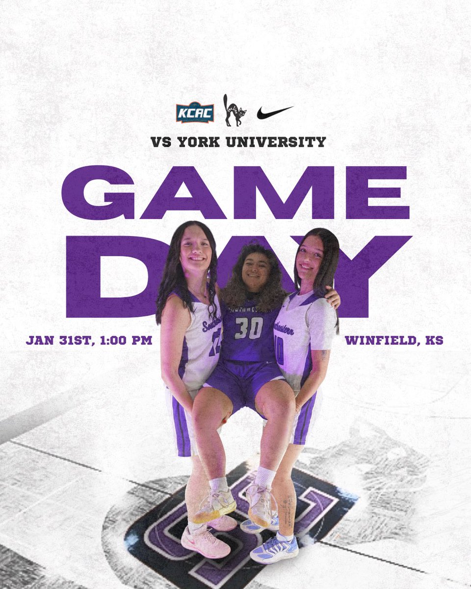 LadyBuilderBasketball tweet media