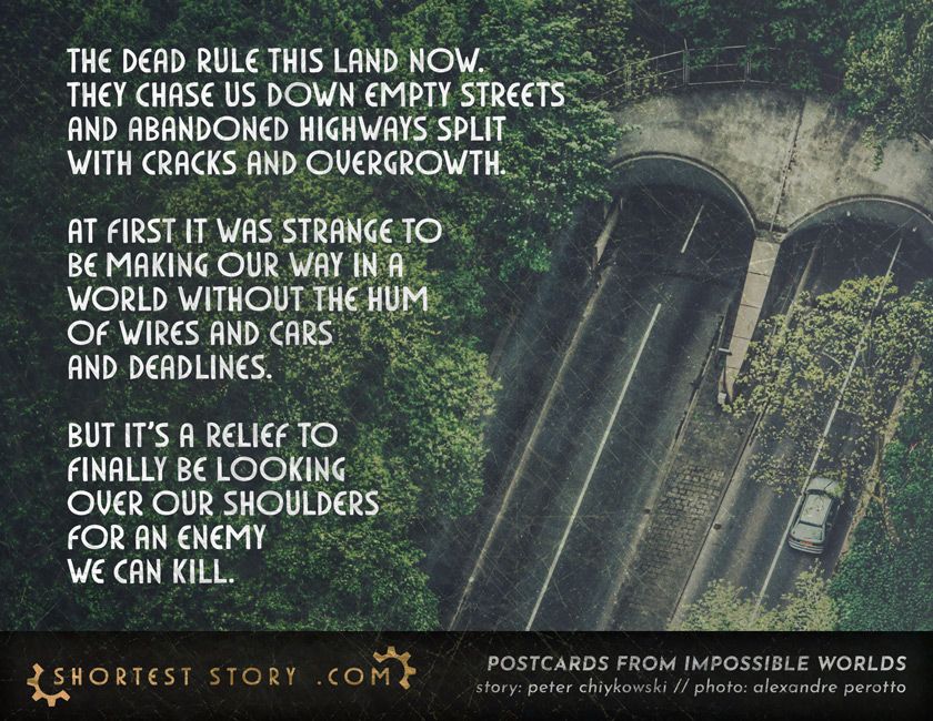 The Shortest Story tweet media