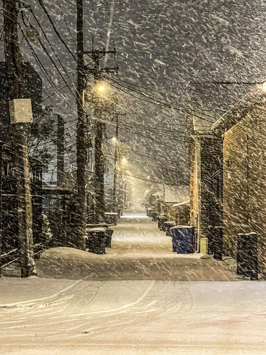 steve barbaro tweet media