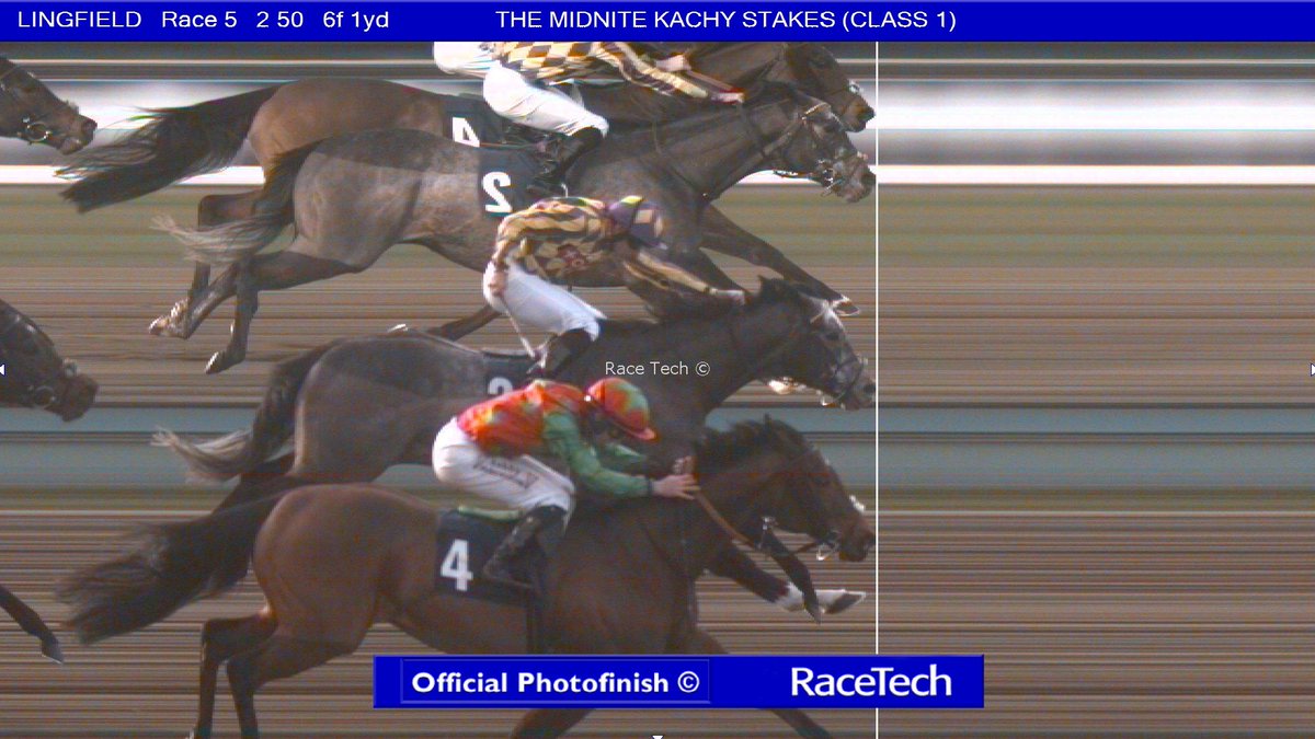 Rich ⚔️  tweet media