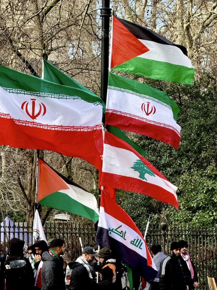 emilykschrader's tweet image. At the “pro-Palestinian” march in London today, this is who they stood with…the Islamic regime in Iran which just murdered 40,000 Iranian civilians for protesting. On every single issue the Palestinian cause has stood on the wrong side of history. Today, that tradition…