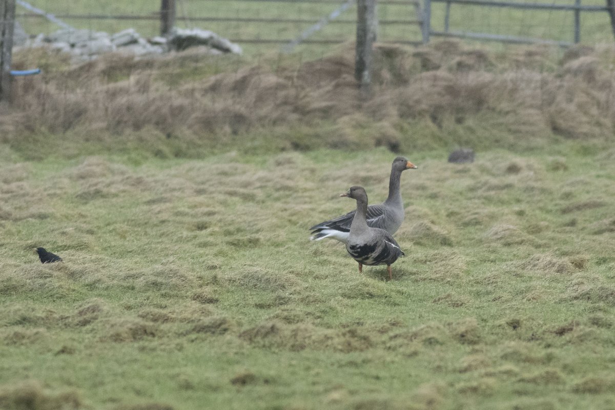 Maddy Hine tweet media