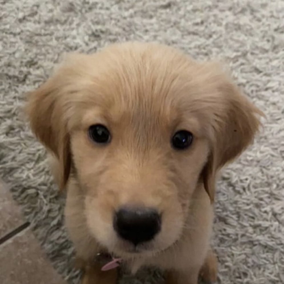 Crypto Waterman tweet media