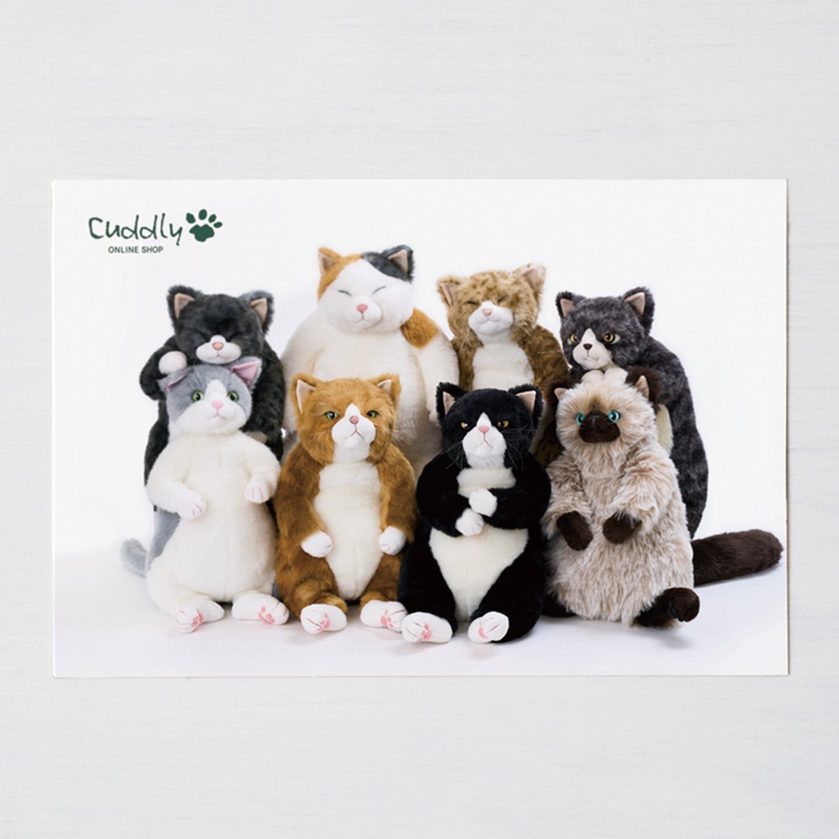 Cuddly（カドリー） (@CuddlyOfficial) / Posts / X