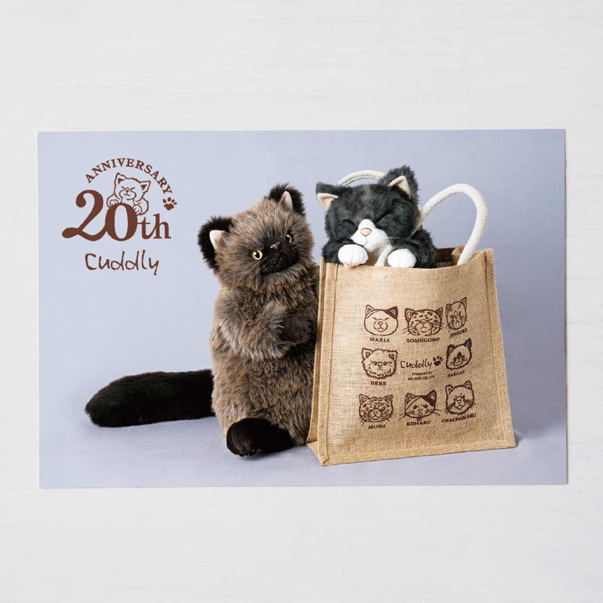 Cuddly（カドリー） (@CuddlyOfficial) / Posts / X