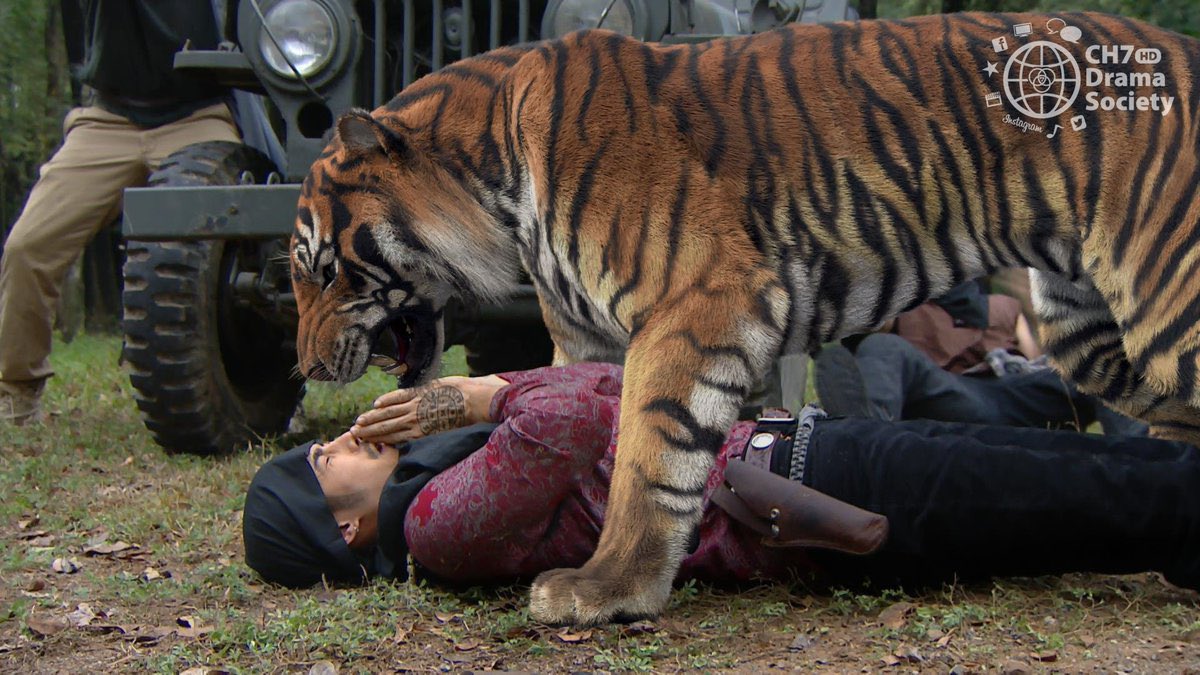 ที่สวย ๆ ดี ๆ ก็มีน๊าาา ไม่ได้เป็นทุกเรื่อง 
และเรื่องซีจีมันอยู่ที่ค่ายละครว่าจะทำออกมาแบบไหนมากกว่า

-อีกอย่างในวิวาห์ปฐพี มีอะไรให้โฟกัสมากกว่า Cg บนรถที่เป็นแค่องค์ประกอบเล็ก ๆ อย่างนึง แซวได้แต่อย่าเยอะเกินนนน เพราะนี่ว่าผู้ผลิตก็ตั้งใจทำทุกอย่างออกมาให้ดีที่สุด 😅