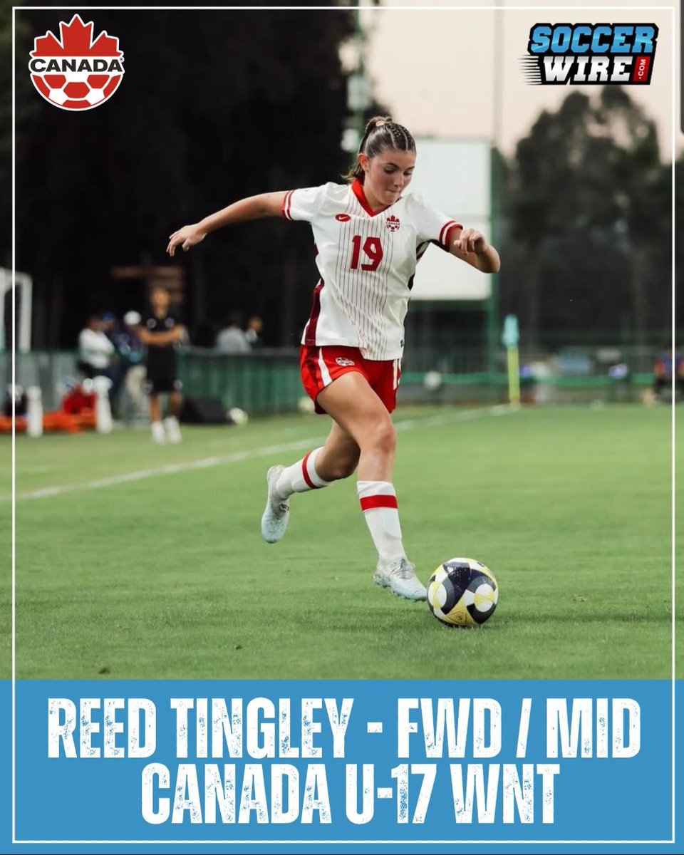 Reed Tingley Concorde Fire 09 • 2028 tweet media