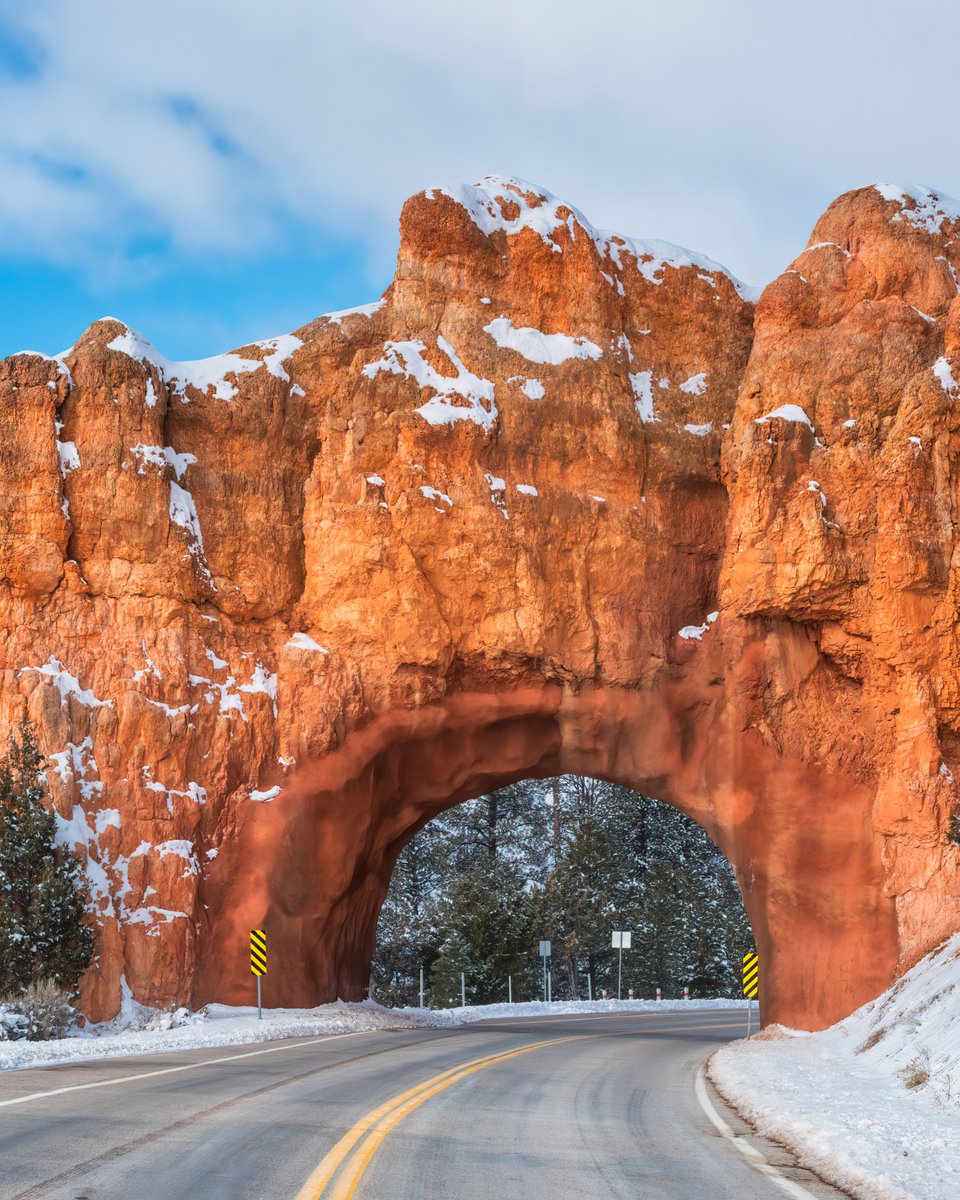 Good Sam tweet media