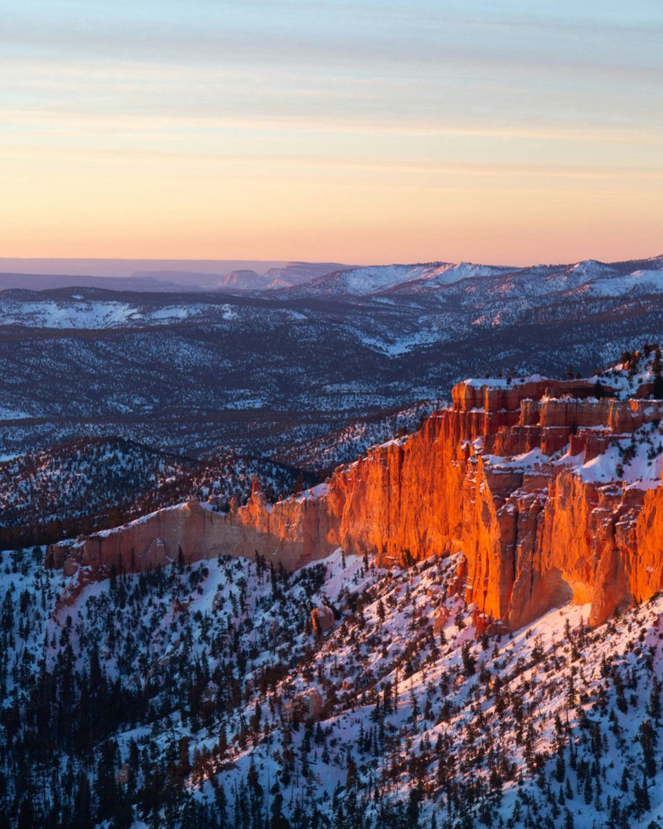 Good Sam tweet media