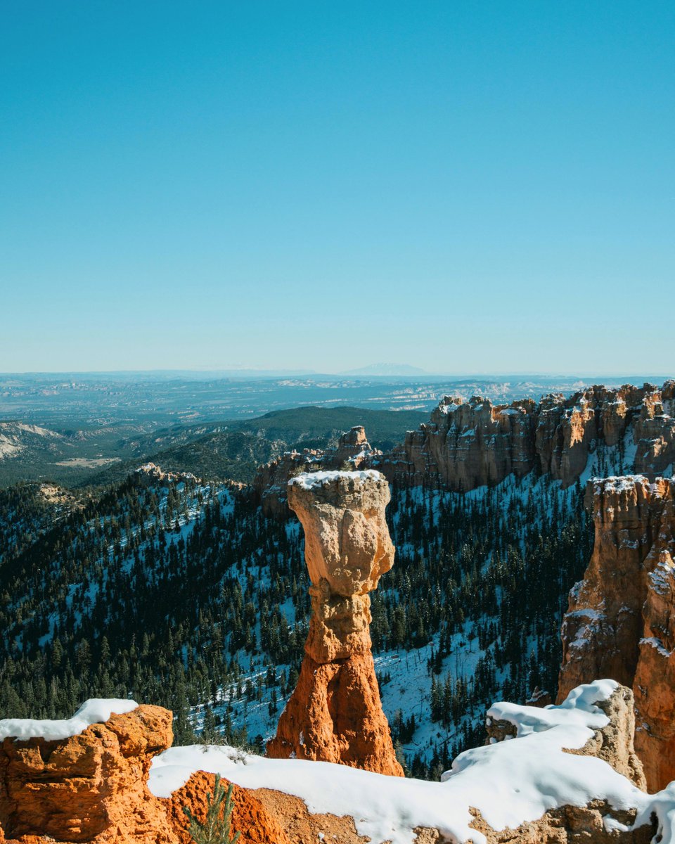 Good Sam tweet media