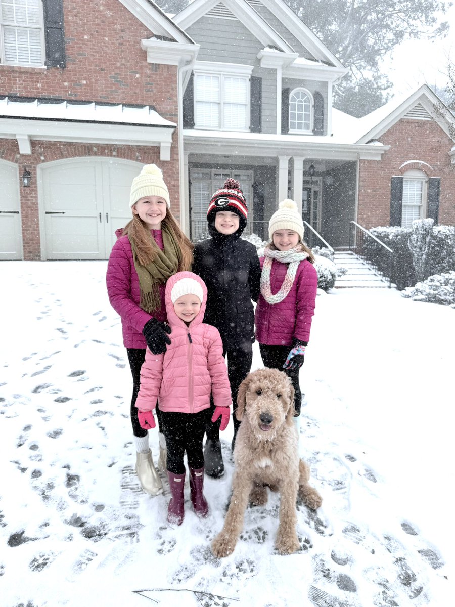 Bo Brison tweet media