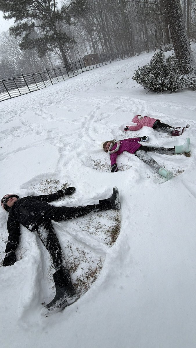 Bo Brison tweet media