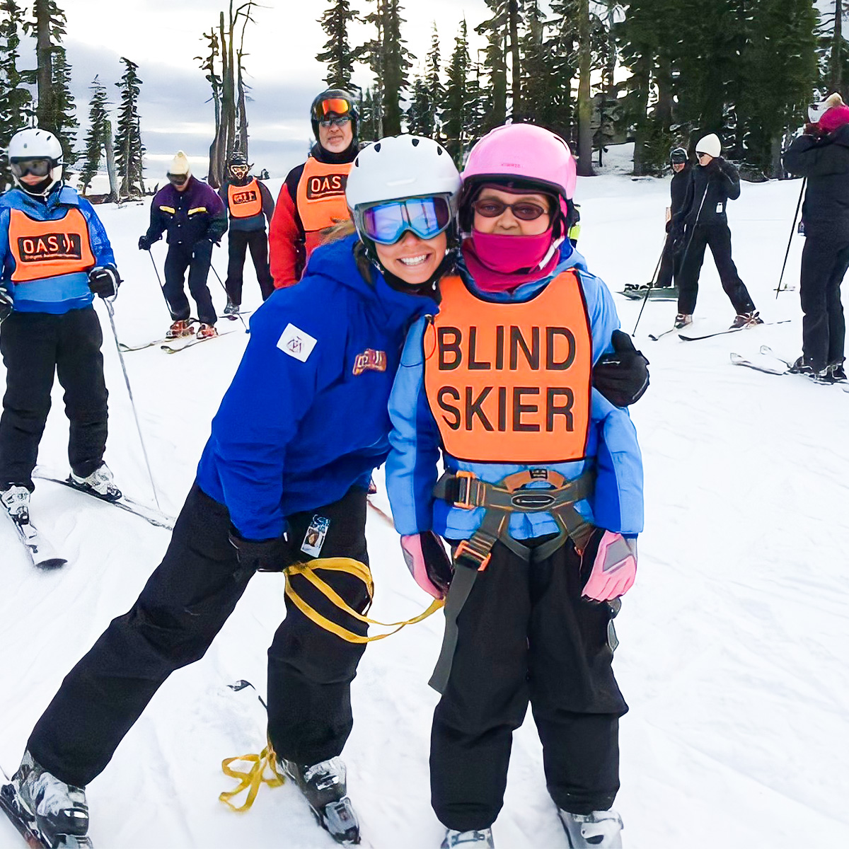 Alström Angels tweet media