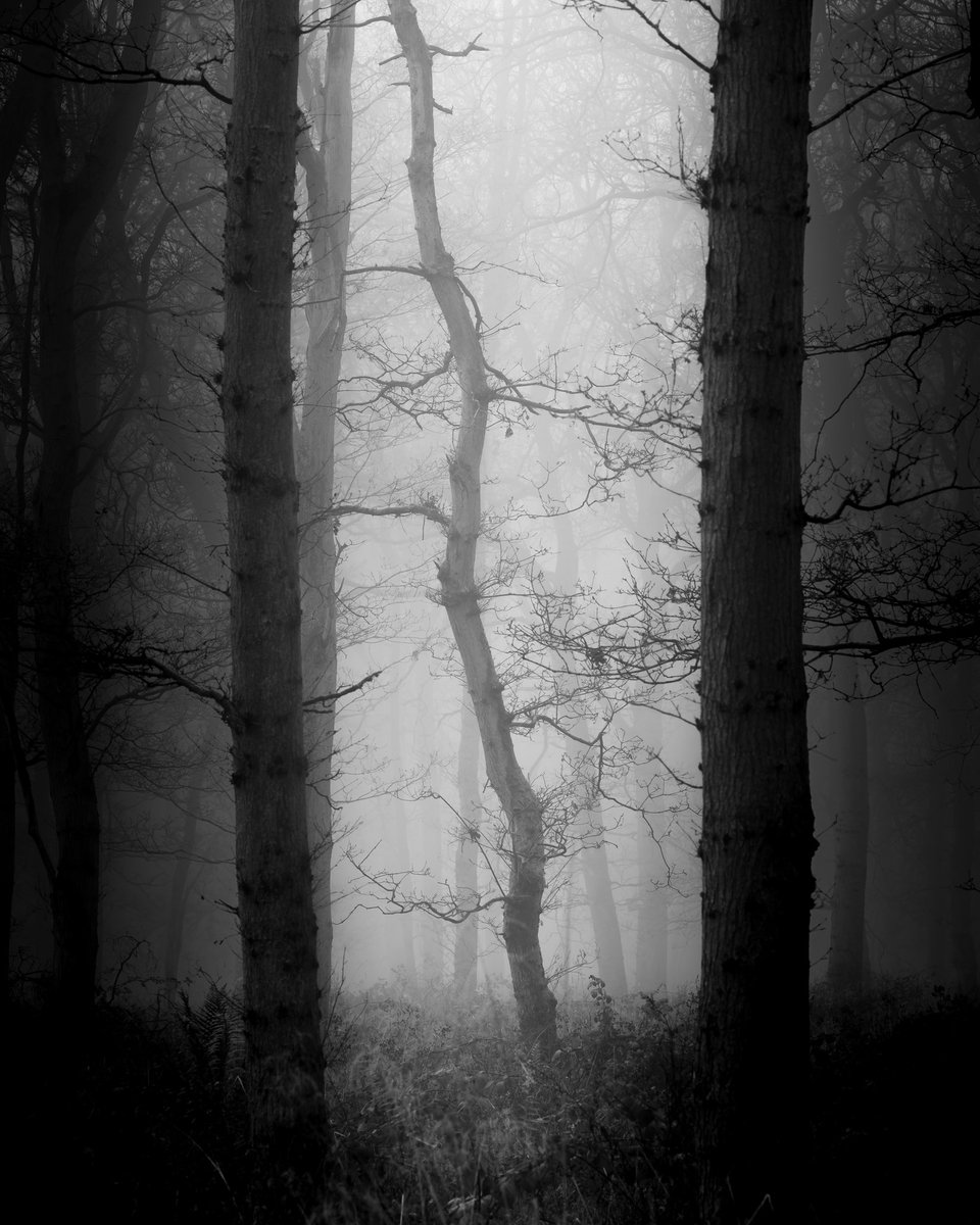 Fotospeed's tweet photo. 🌟📸 #FSPrintMonday Competition Top 4 Highlights 🏆⁠
⁠
🥇 Congratulations @flyingsailor87⁠
⁠
#Photography #foreveryprint #powerofprint #Fotospeed https://t.co/ZbptOWbbVC