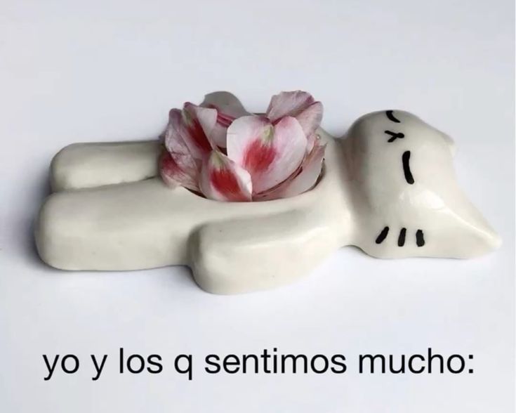torturamente's tweet photo. https://t.co/ylP03IRFD8